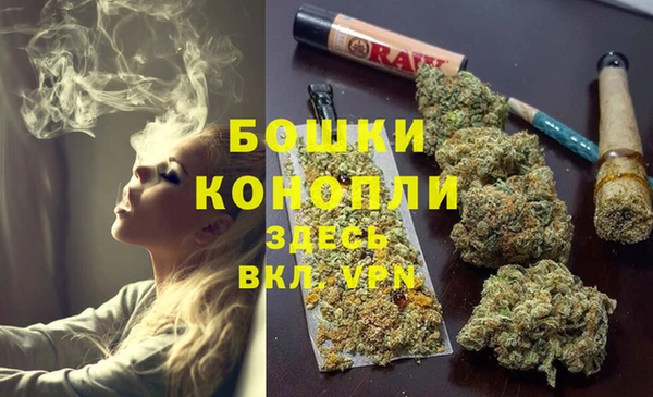 кокс Арсеньев