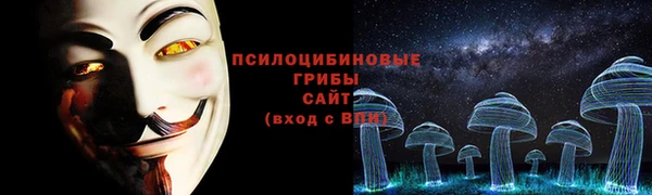кокс Арсеньев