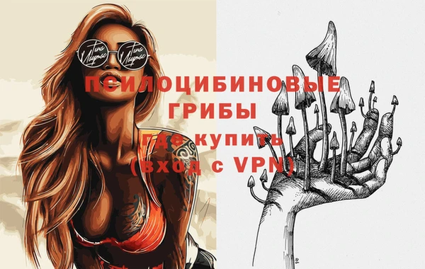 кокс Арсеньев