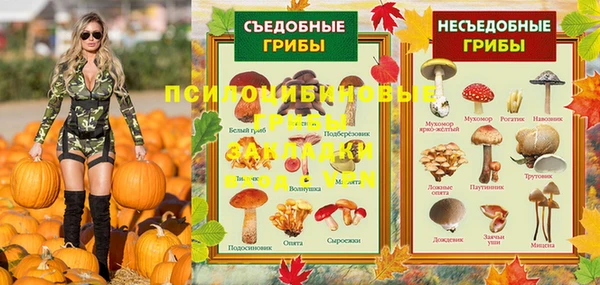 кокс Арсеньев