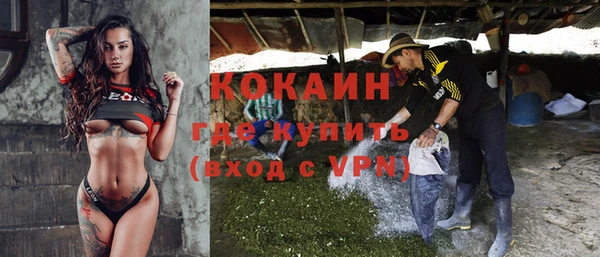 кокс Арсеньев