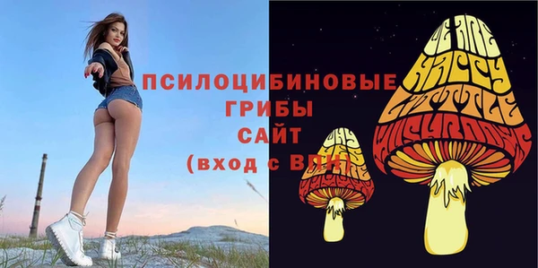 кокс Арсеньев